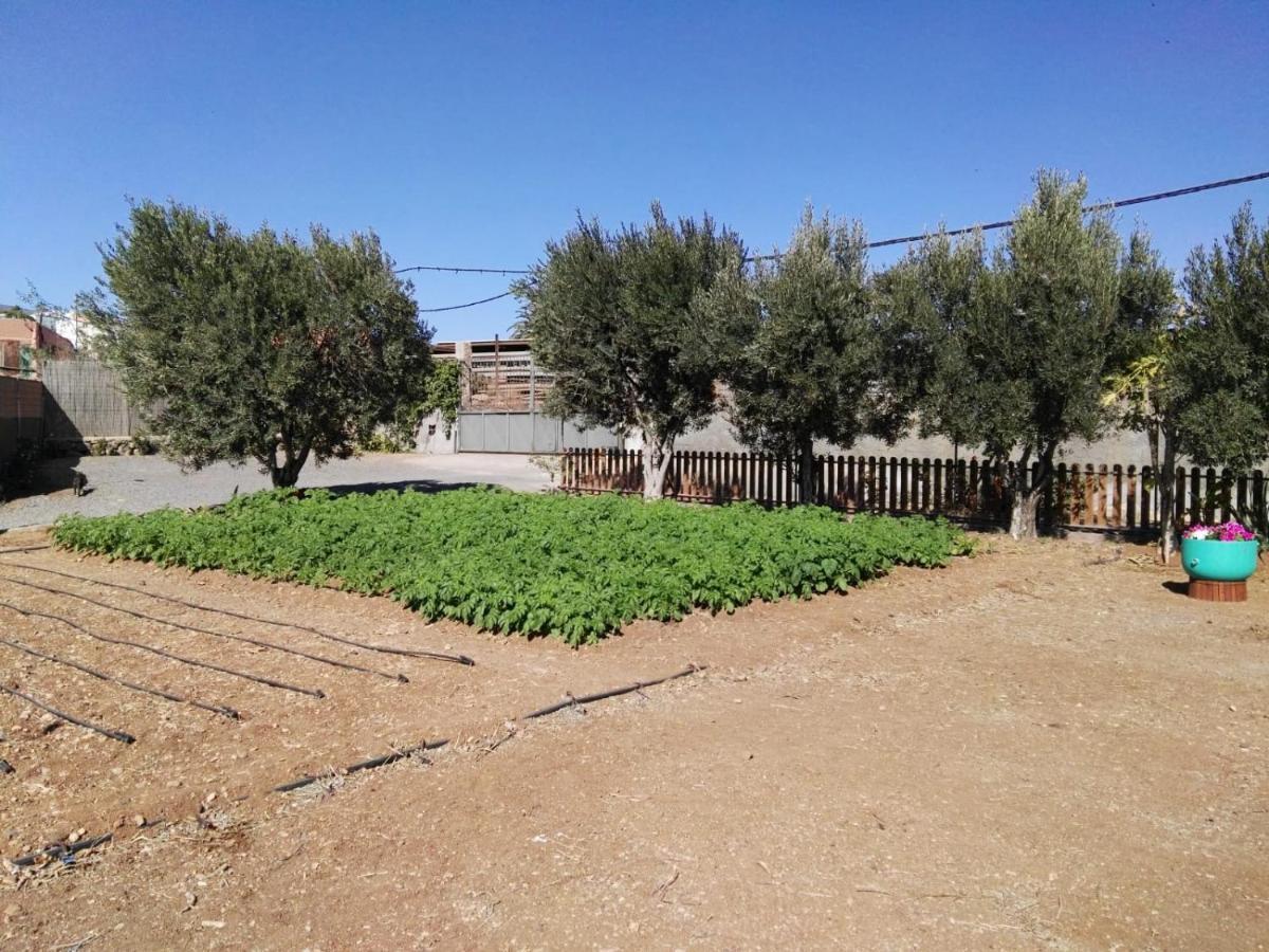 La Casita Del Naranjo Villa Aguimes Bagian luar foto